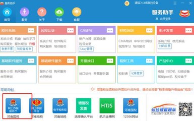 河南国税网上办税系统无法登录的常见原因与解决方案